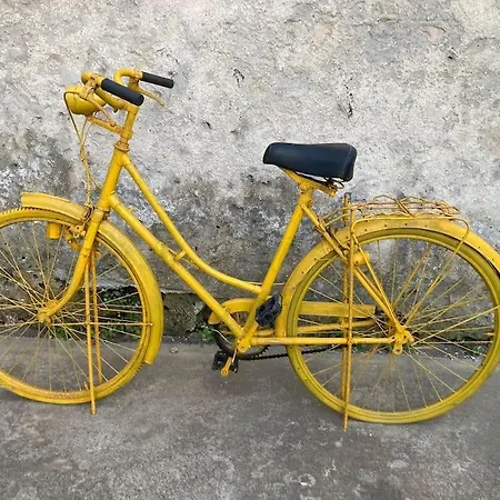 Villa Gafa House - Family And Workplace Gafanha da Nazaré